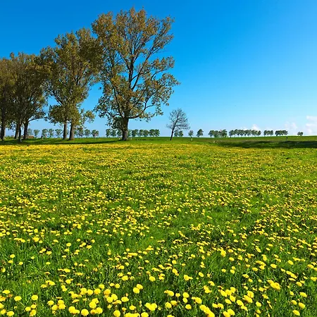 Buchenweg Whg.24, Friese, Eg Re *