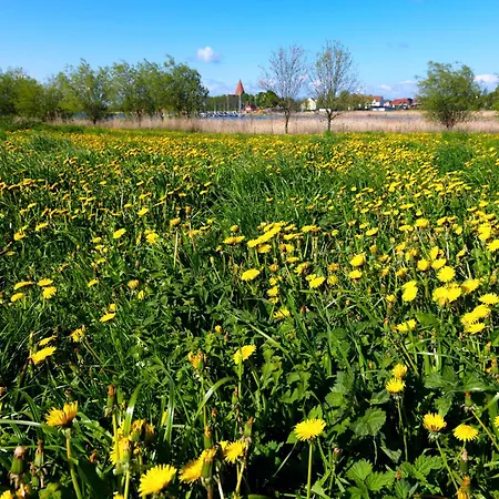 Buchenweg Whg.24, Friese, Eg Re 아파트 인젤 포엘